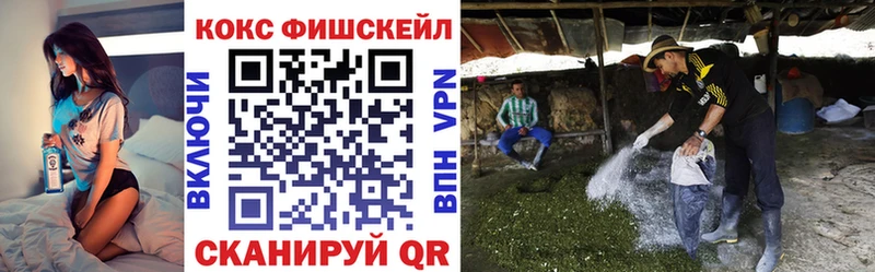 закладка  Фролово  Cocaine 99% 