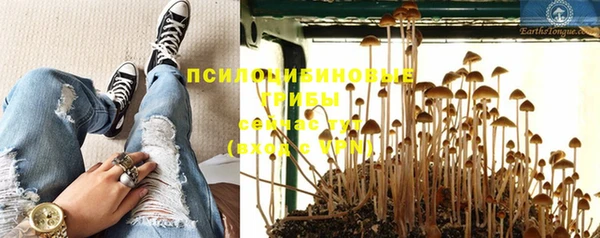ALPHA-PVP Алексин