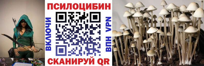 Псилоцибиновые грибы GOLDEN TEACHER  Фролово 